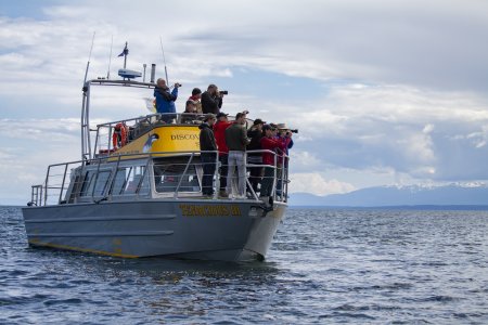 We zijn niet de enige wildspotters met camera&#039;s in deze baai